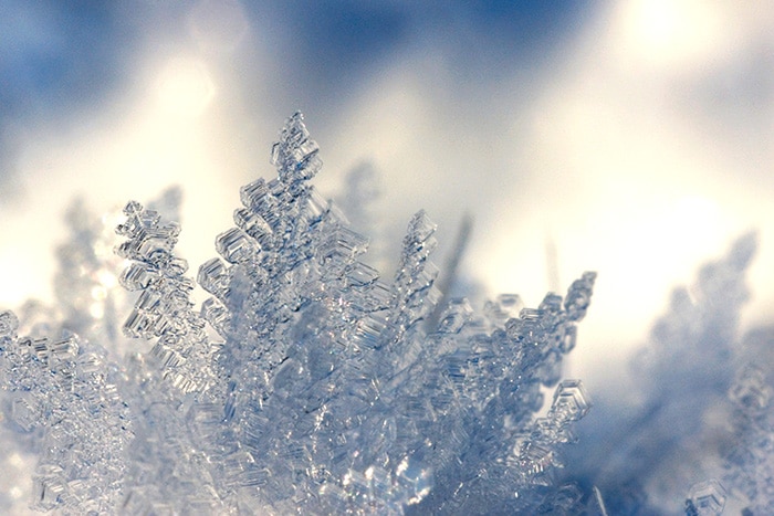 Permanences d'hiver 2023 1 permanences hiver 2023